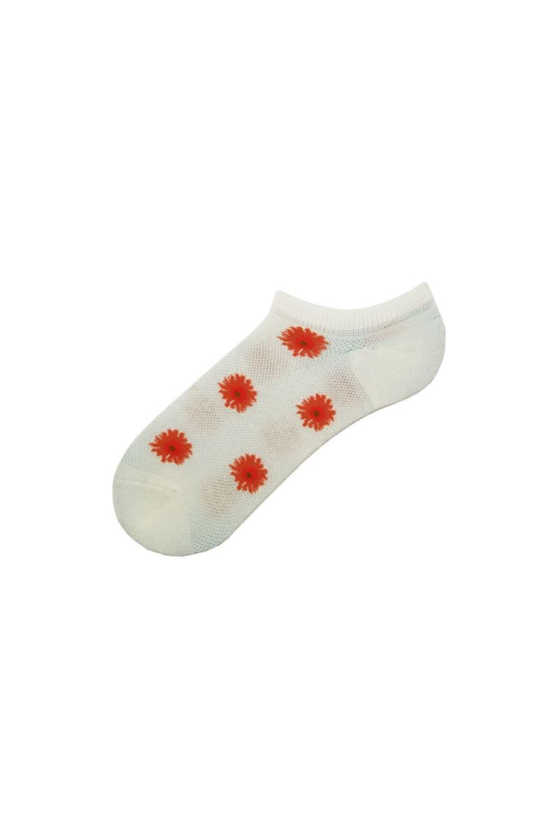 BROSS FLOWER PATTERNED WOMENS SNEAKER SOCKS ASORTY