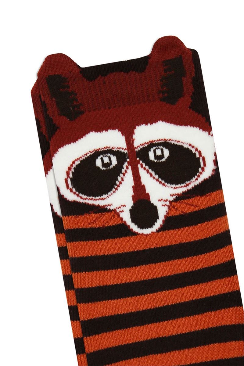 BROSS 3D RACCOON PATTERNED PRINTED BOYS TERRY SOCKS ASORTY