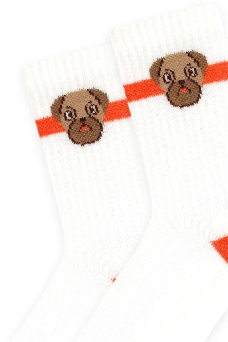 ANIMALS PATTERNED BOYS TERRY SOCKS