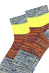 NO. 6 RINGED BOOTIES WOMEN SOCKS