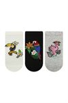 PARROT AND FLAMINGO PATTERNED WOMENS BOOTIES SOCK