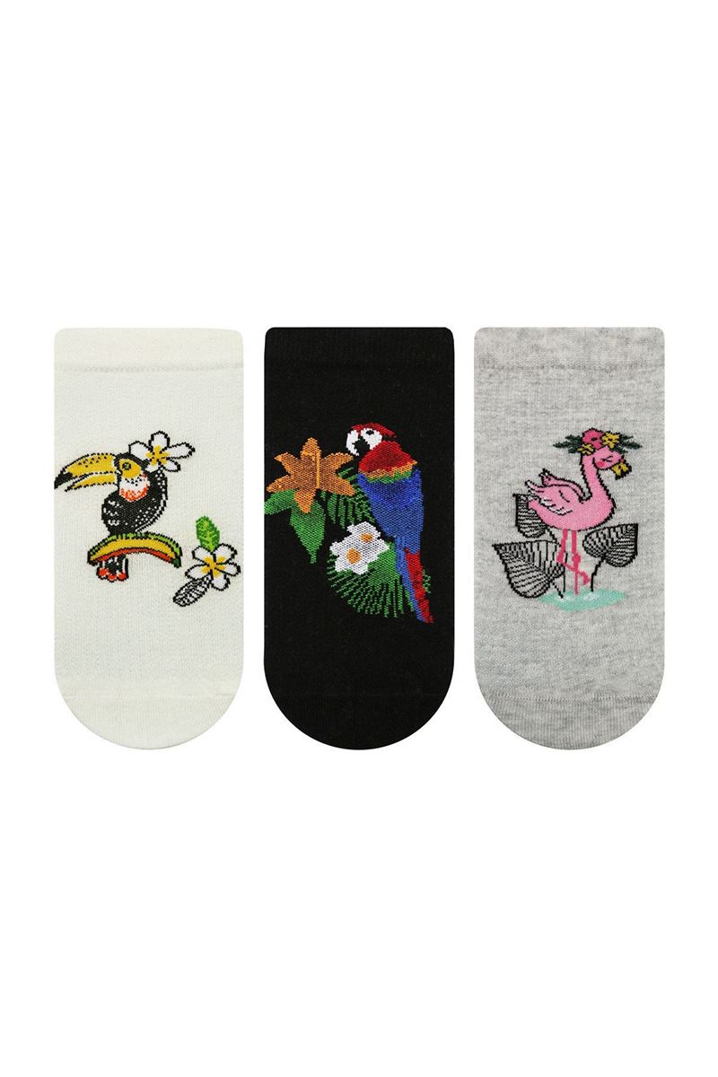 PARROT AND FLAMINGO PATTERNED WOMENS BOOTIES SOCK